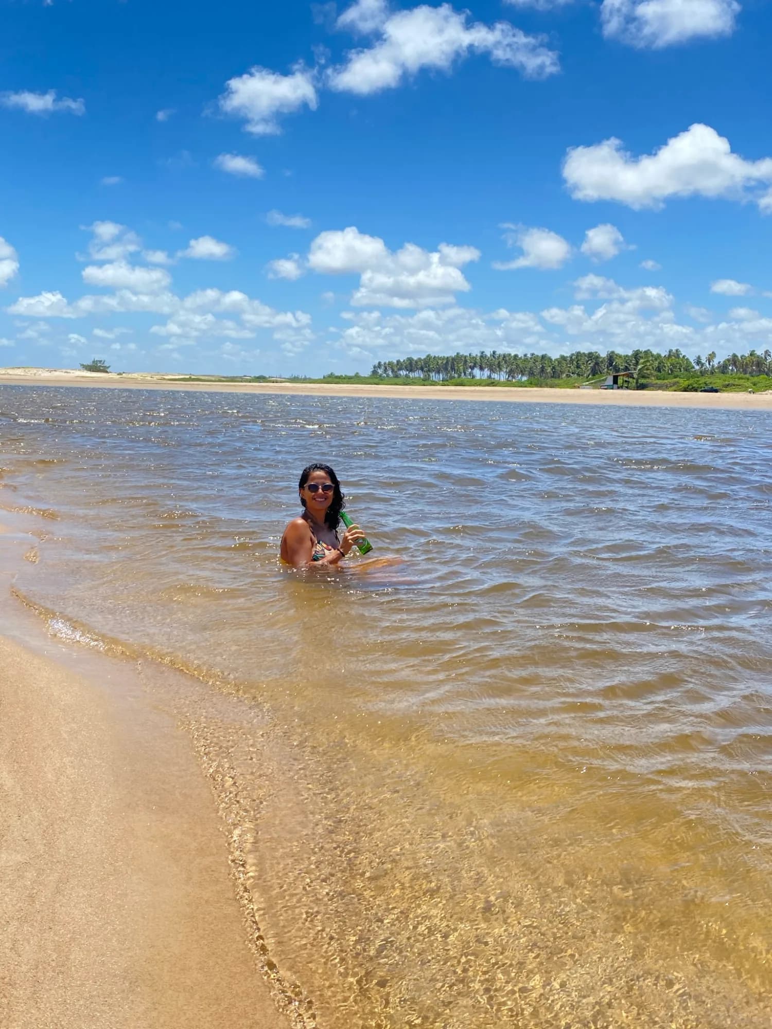 Rio Punaú
